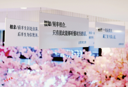 點(diǎn)擊放大